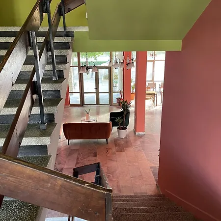 Amadina Garden Lozenets