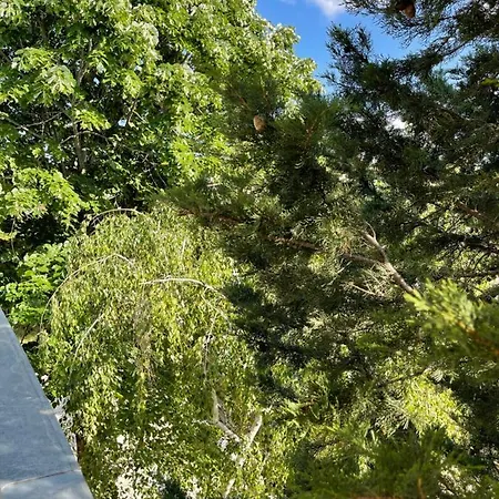 ホテル Amadina Garden *