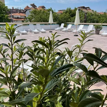 Amadina Garden 洛泽内茨
