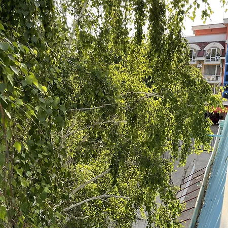 Готель Amadina Garden *
