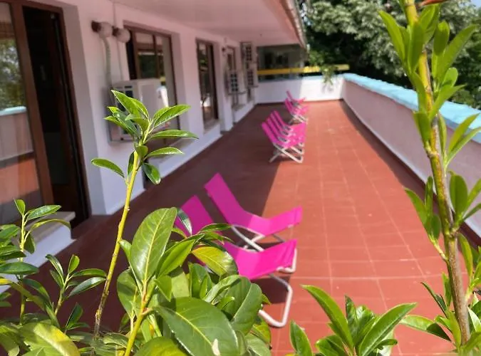 Amadina Garden * Lozenets