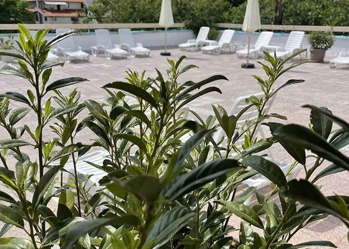 Hotel Amadina Garden *