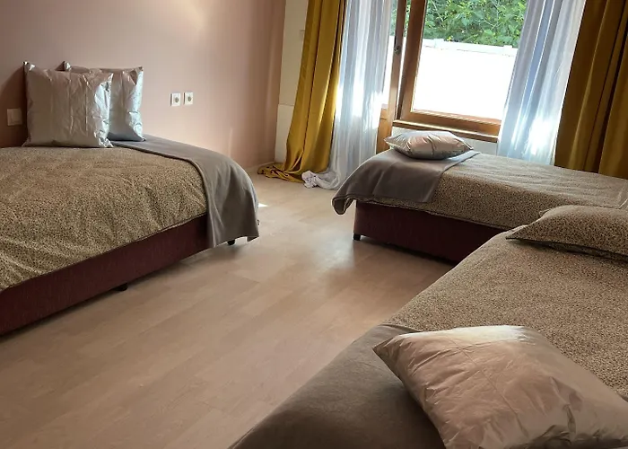 Amadina Garden Lozenets